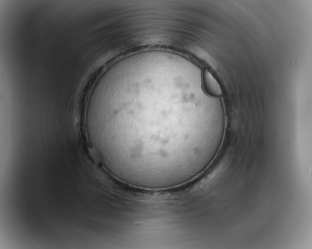 X0000089690922200707201717