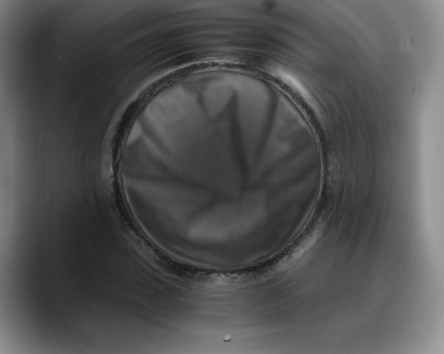 X0000089690923200707201717