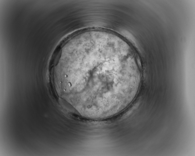X0000089690924200707201717
