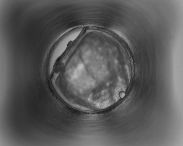 X0000089690925200707201717