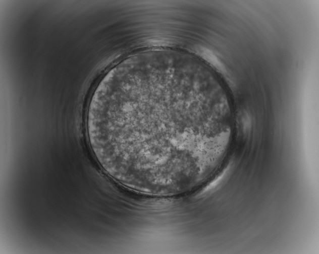 X0000089690930200707201717