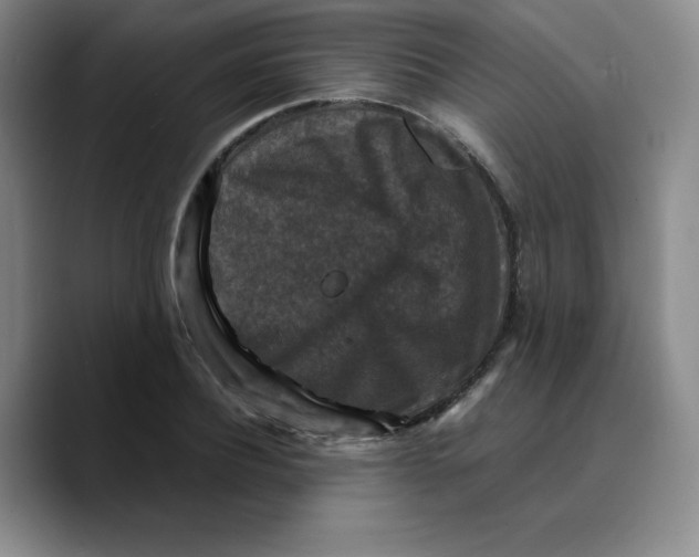 X0000089690932200707201717