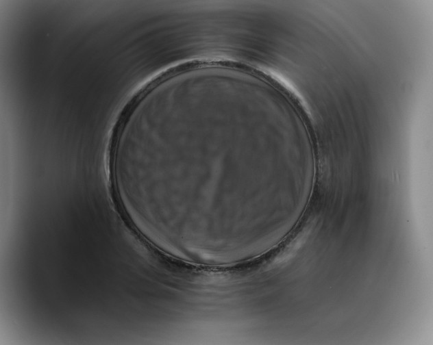 X0000089690935200707201717