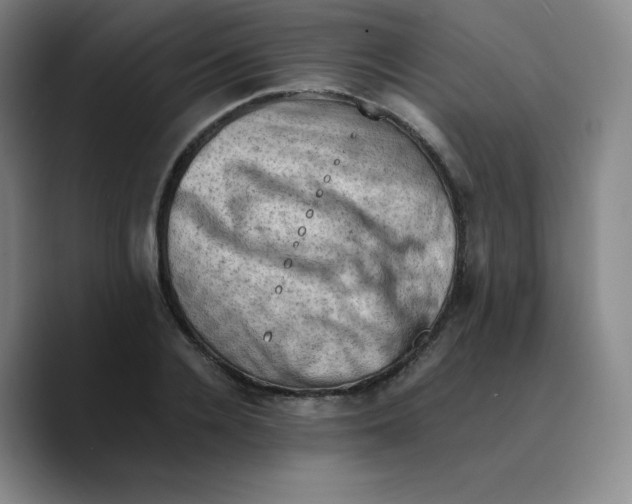 X0000089690936200707201717