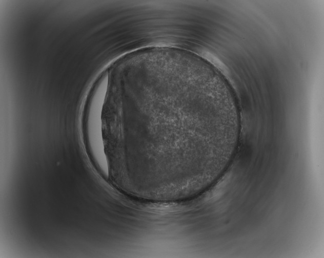 X0000089690939200707201717