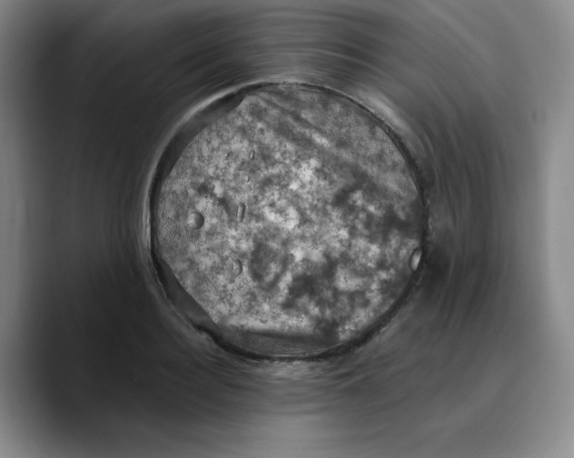 X0000089690940200707201717
