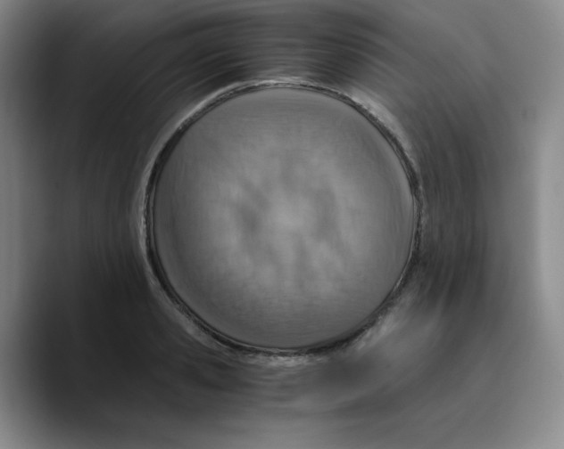 X0000089690941200707201717