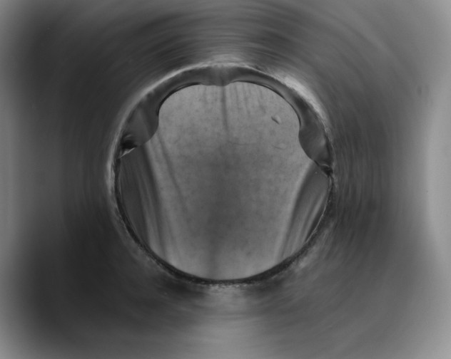 X0000089690944200707201717