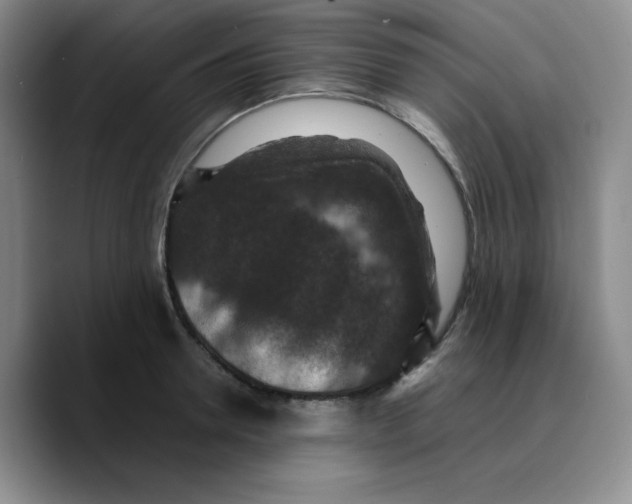 X0000089690946200707201717