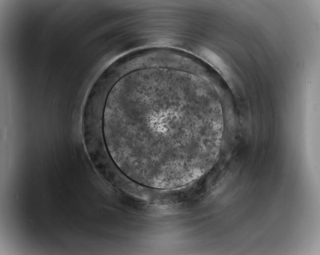 X0000089690948200707201717