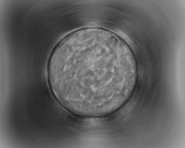 X0000089690950200707201717