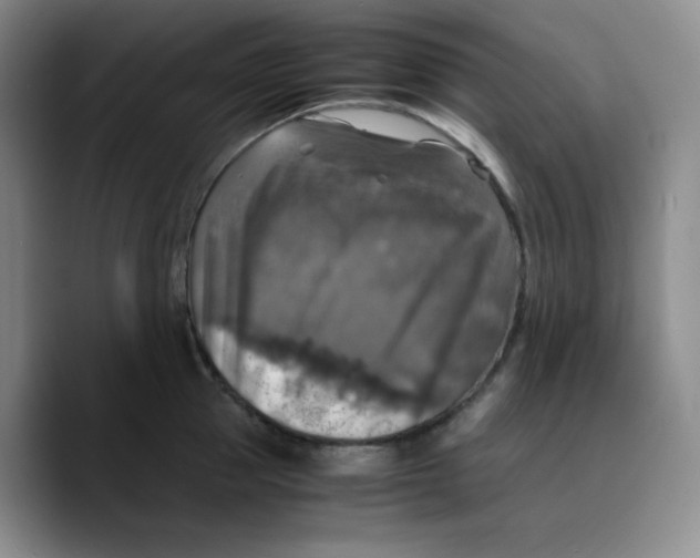 X0000089690953200707201717