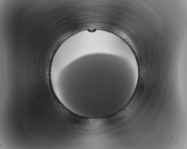 X0000089690954200707201717