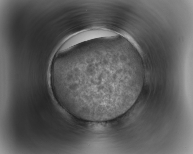 X0000089690955200707201717