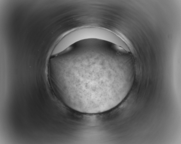 X0000089690956200707201717