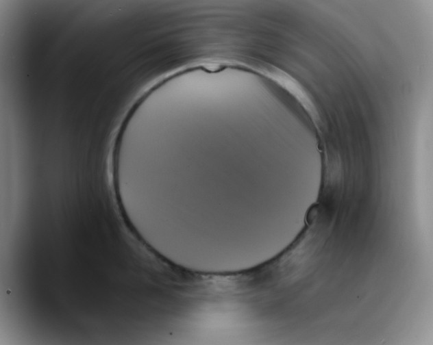 X0000089690958200707201717