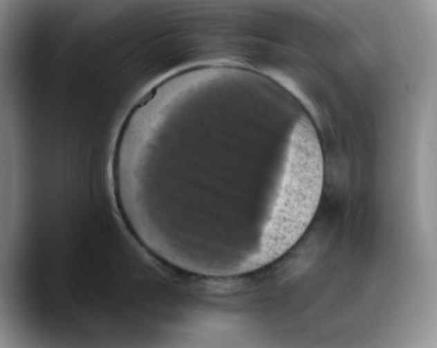 X0000089690959200707201717