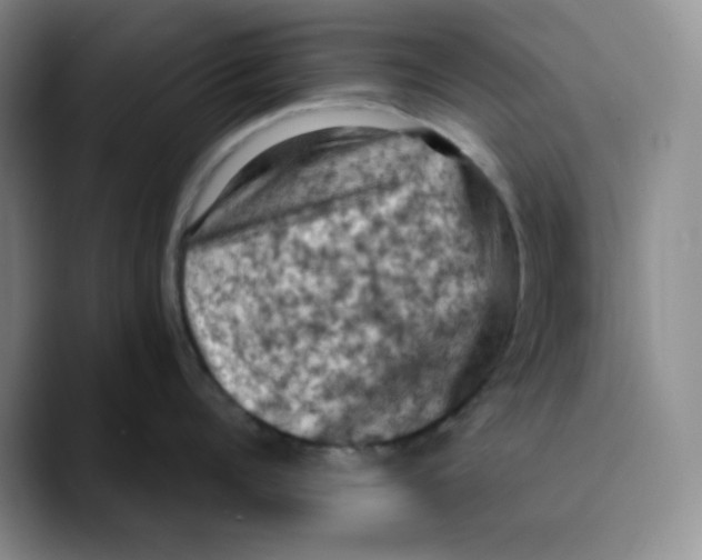 X0000089690960200707201717