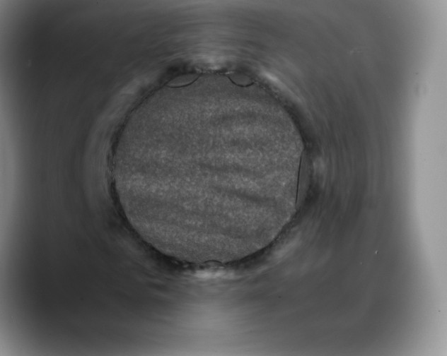 X0000089690961200707201717