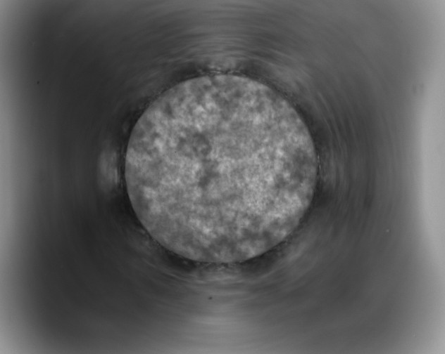 X0000089690962200707201717