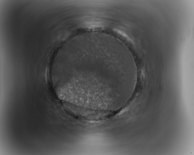 X0000089690965200707201717