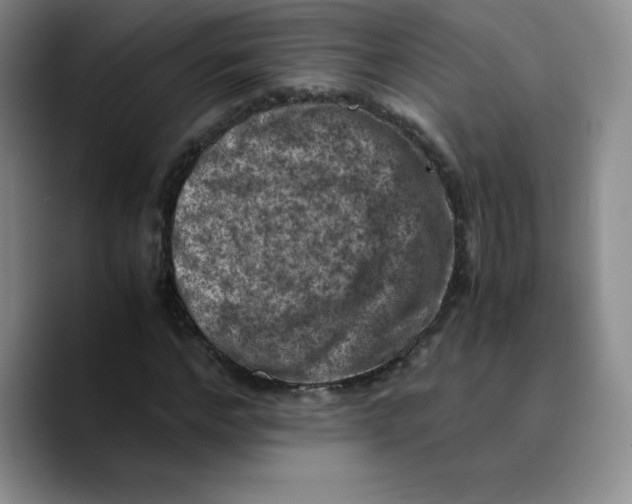 X0000089690968200707201717