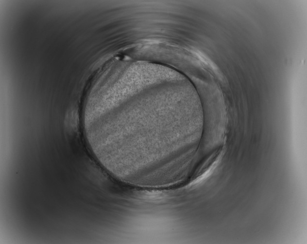 X0000089690969200707201717