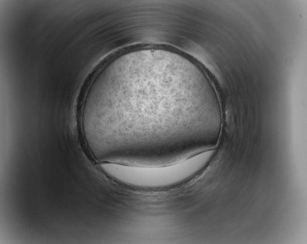 X0000089690972200707201717