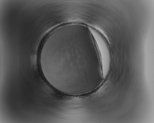 X0000089690975200707201717