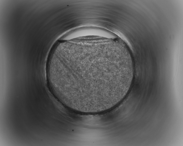X0000089690980200707201716