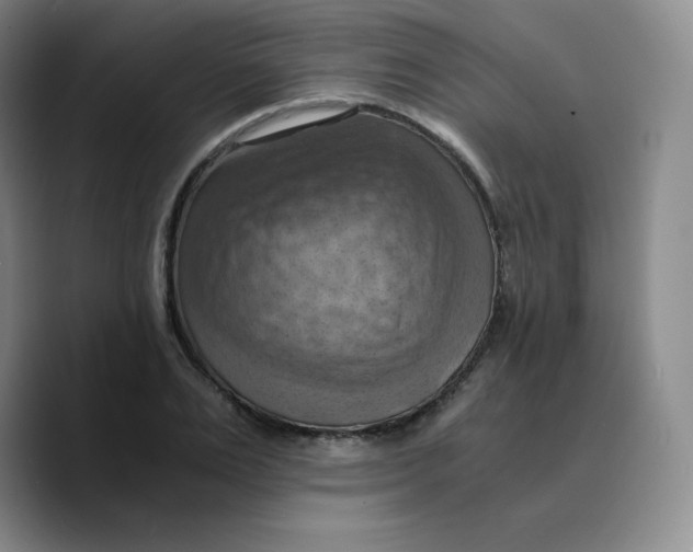 X0000089690983200707201716