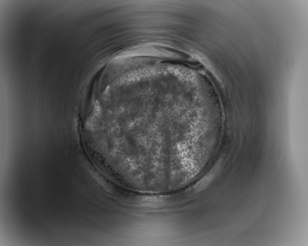 X0000089690985200707201716