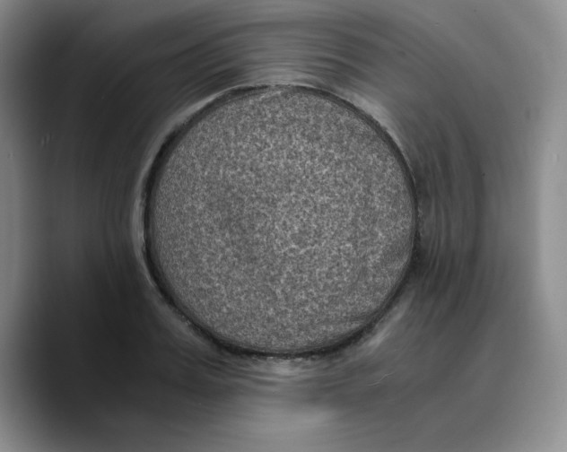 X0000089690987200707201716