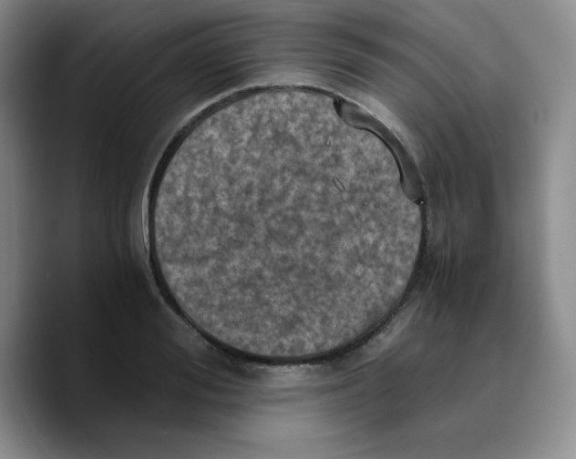X0000089690988200707201716