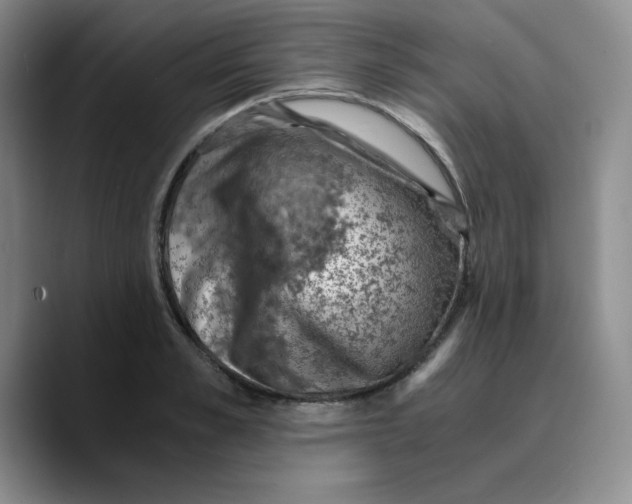 X0000089690989200707201716