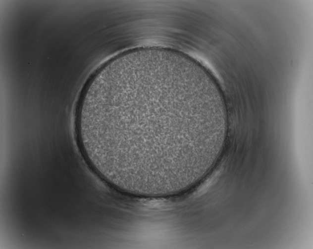X0000089690991200707201716