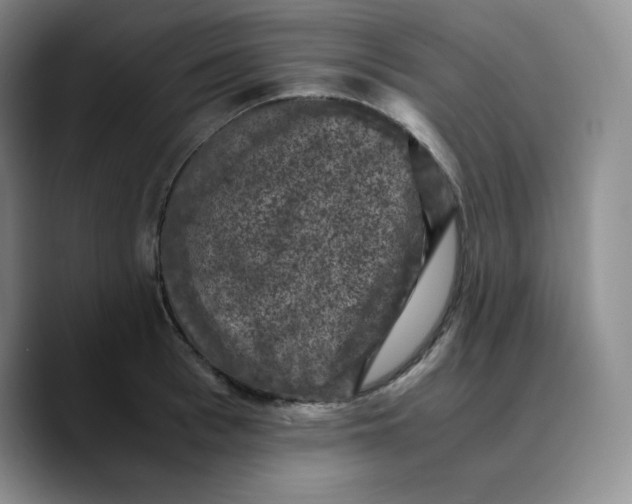 X0000089690993200707201716