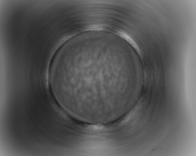 X0000089690994200707201716