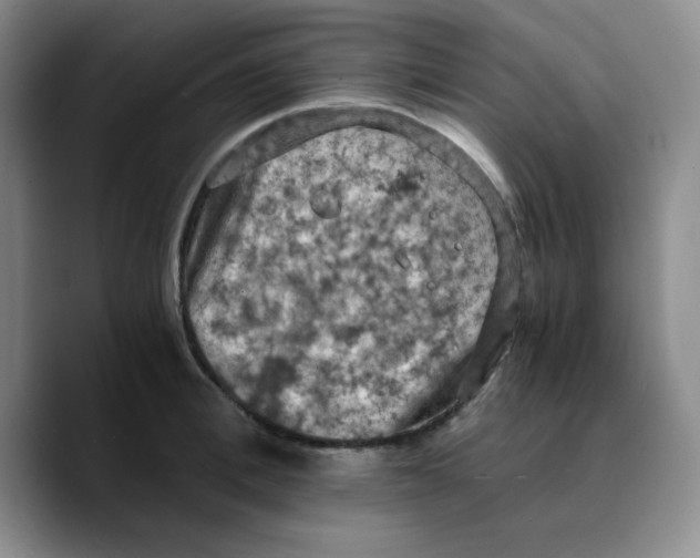 X0000089690996200707201716