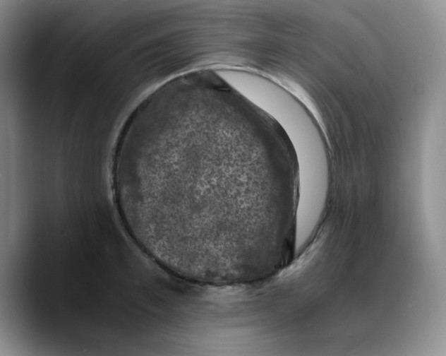 X0000089690997200707201716