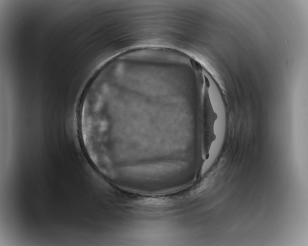 X0000089690998200707201716