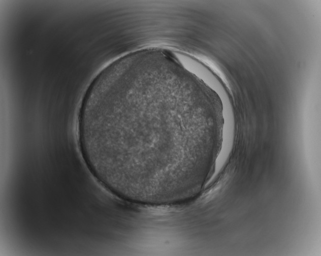 X0000089690999200707201716