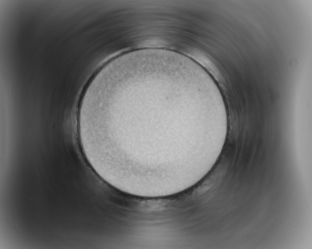 X0000089691000200707201716