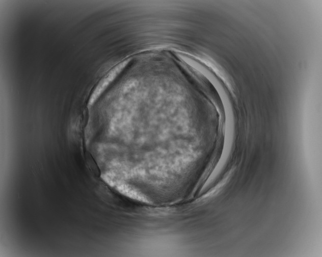 X0000089691001200707201716