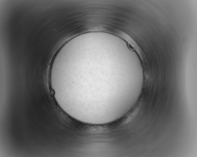 X0000089691002200707201716