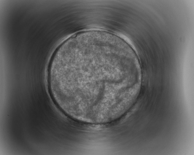 X0000089691003200707201716