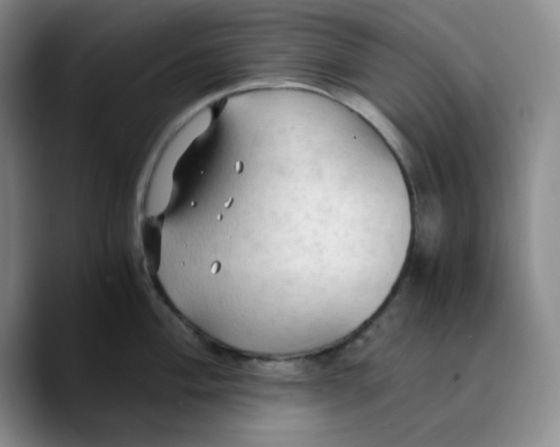 X0000089691004200707201716