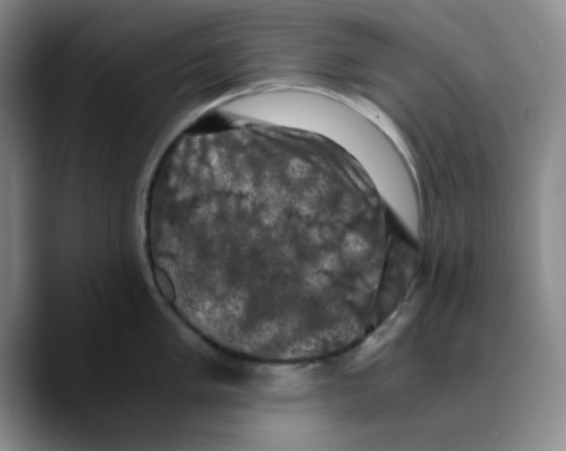 X0000089691005200707201716