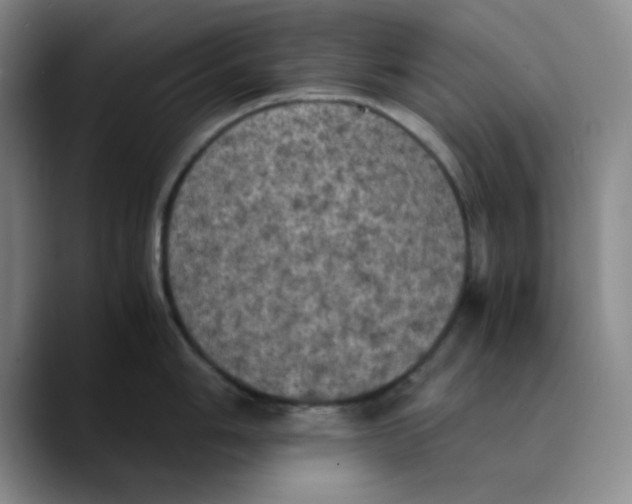 X0000089691006200707201716