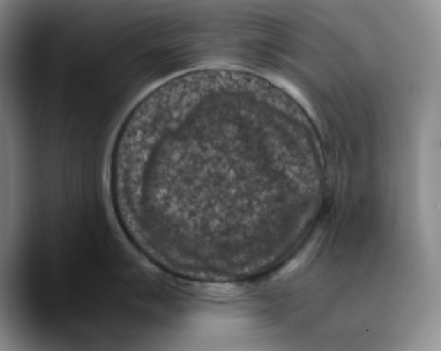 X0000089691007200707201716